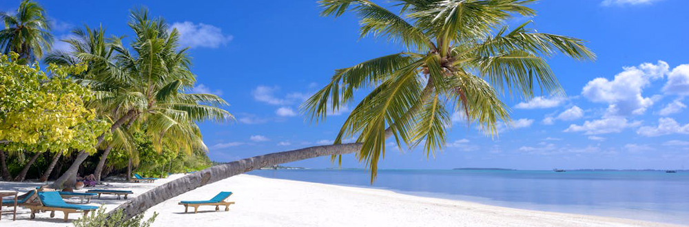 10 Caribbean Beach Excursions